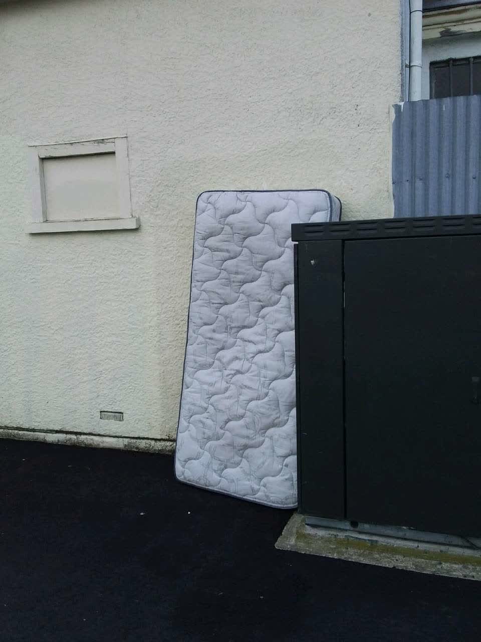 The photograph attached to this rubbish and bins - general report