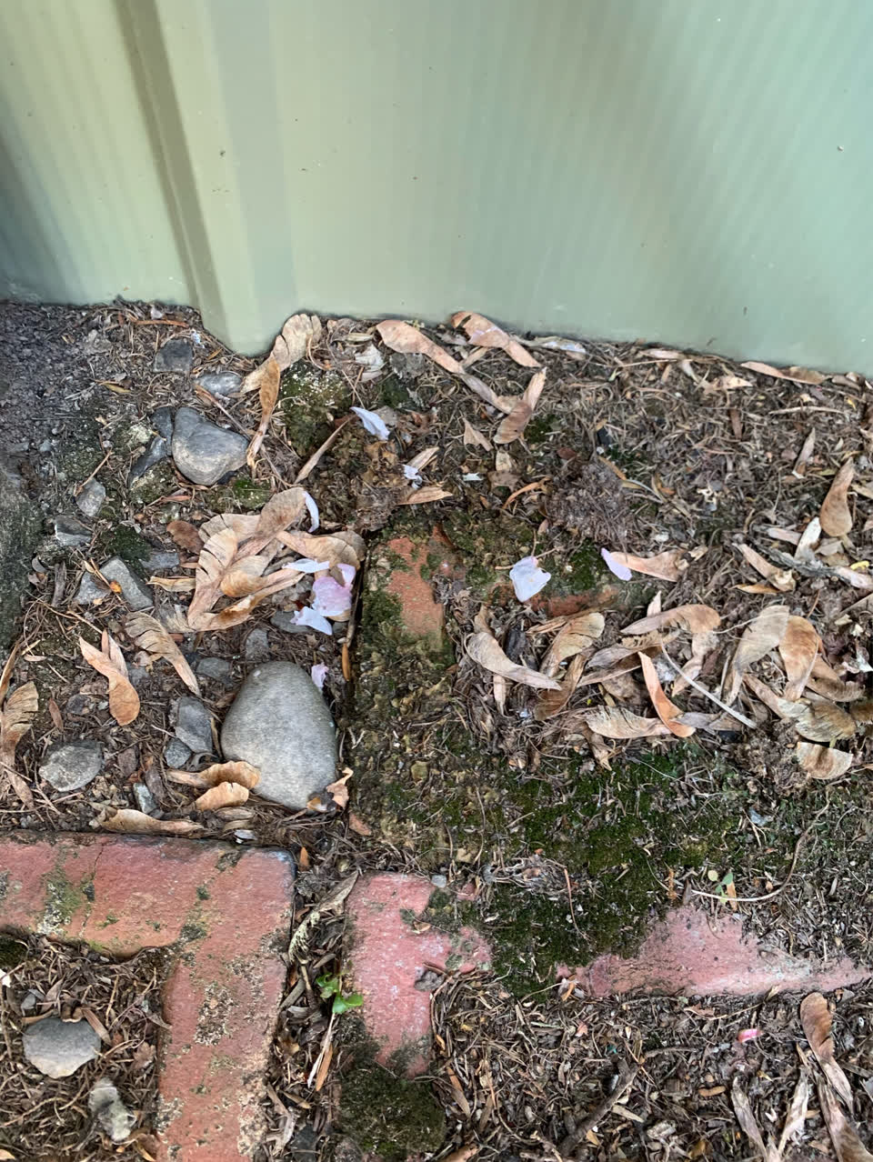 The photograph attached to this trees - general report