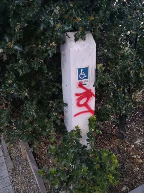 Graffiti, a report photo