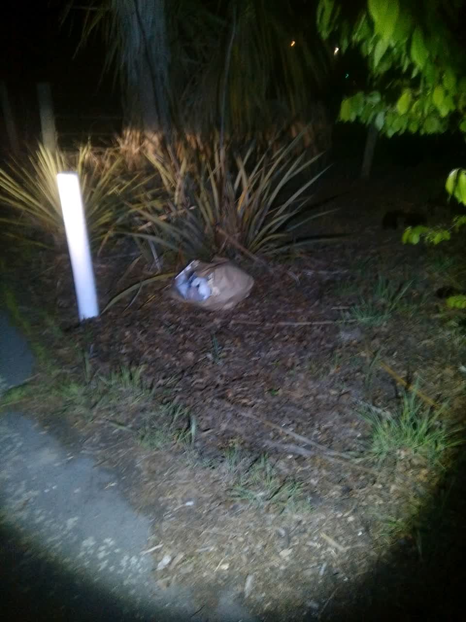 The photograph attached to this dumped rubbish report