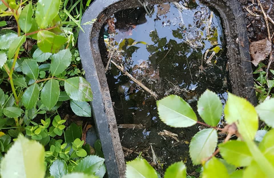 The photograph attached to this water general report