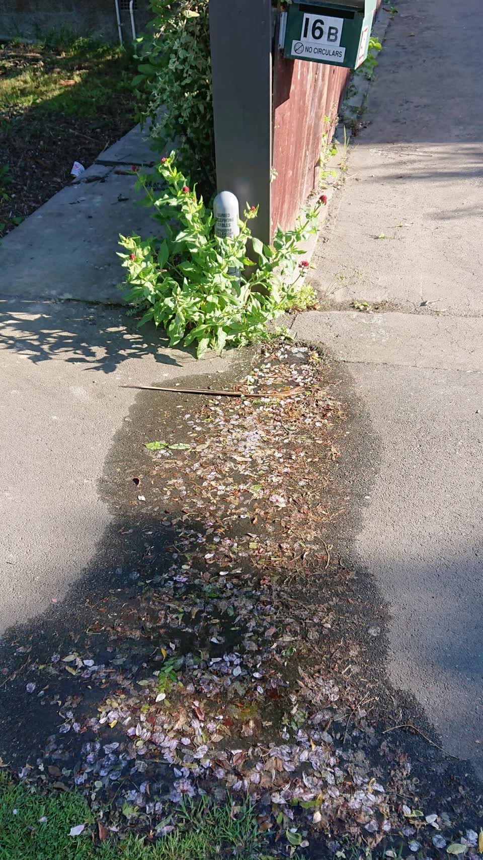 The photograph attached to this water leak report