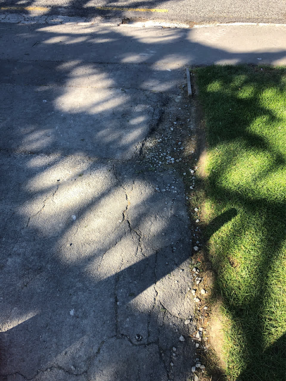 The photograph attached to this pavement - damaged report