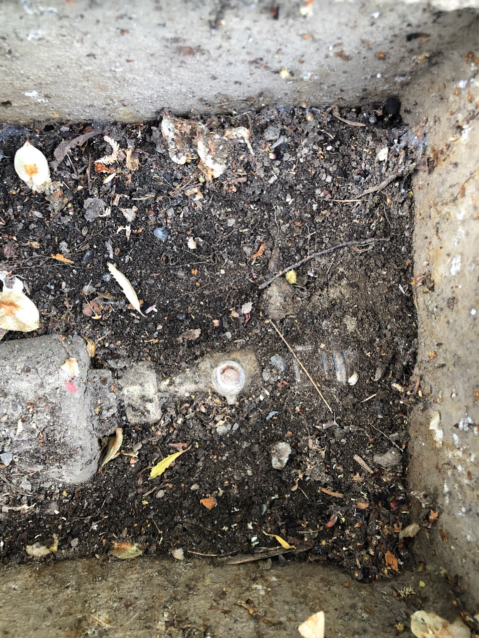 The photograph attached to this water supply report