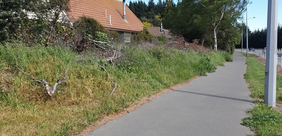 The photograph attached to this overgrown vegetation report