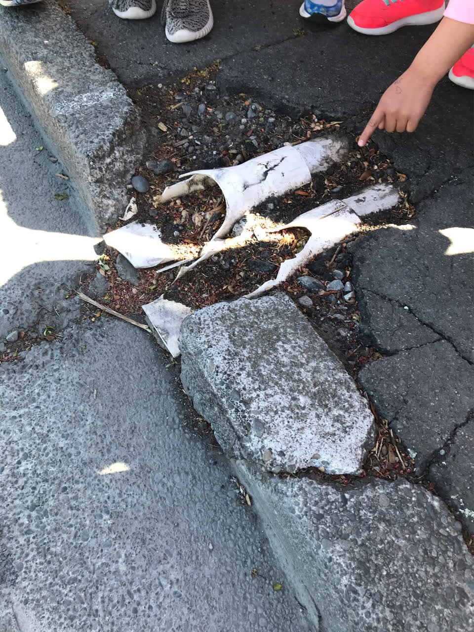 The photograph attached to this pavement - damaged report