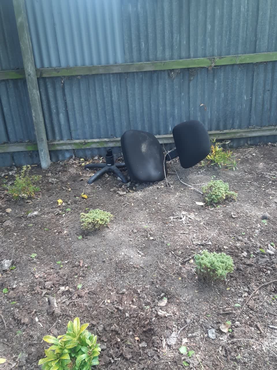 The photograph attached to this parks report