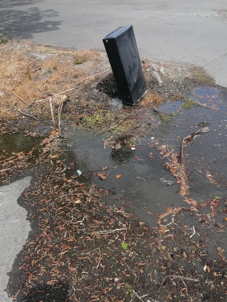 The photograph attached to this water leak report