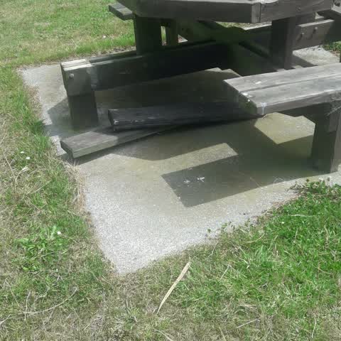 Parks, a report photo