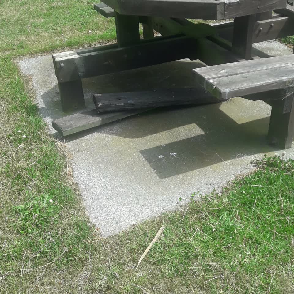 The photograph attached to this parks report