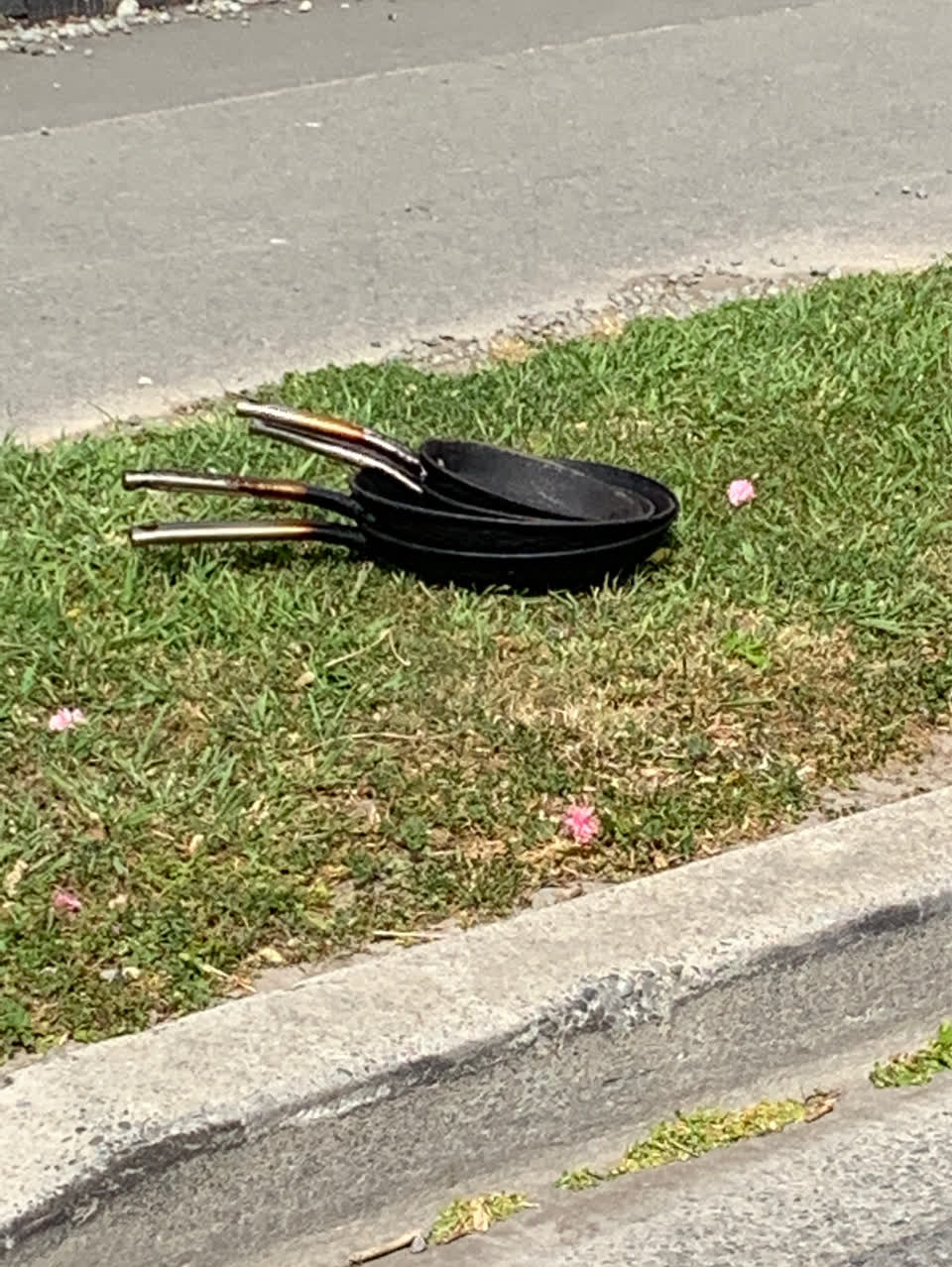 The photograph attached to this rubbish and bins - general report