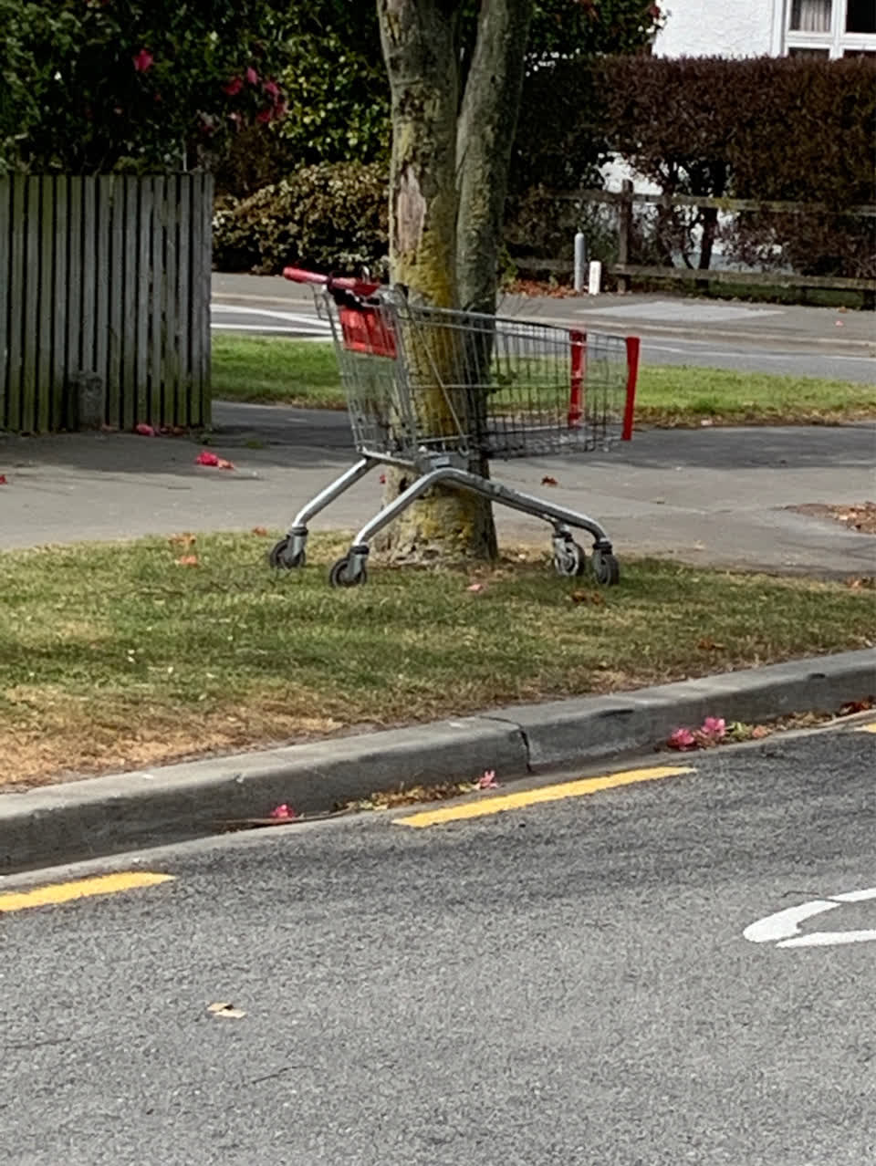The photograph attached to this general - abandoned trolley report