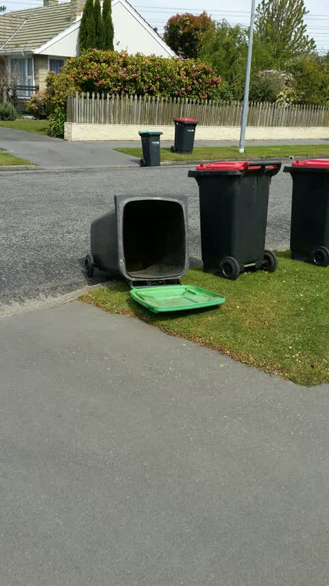 Rubbish and Bins - General, a report photo