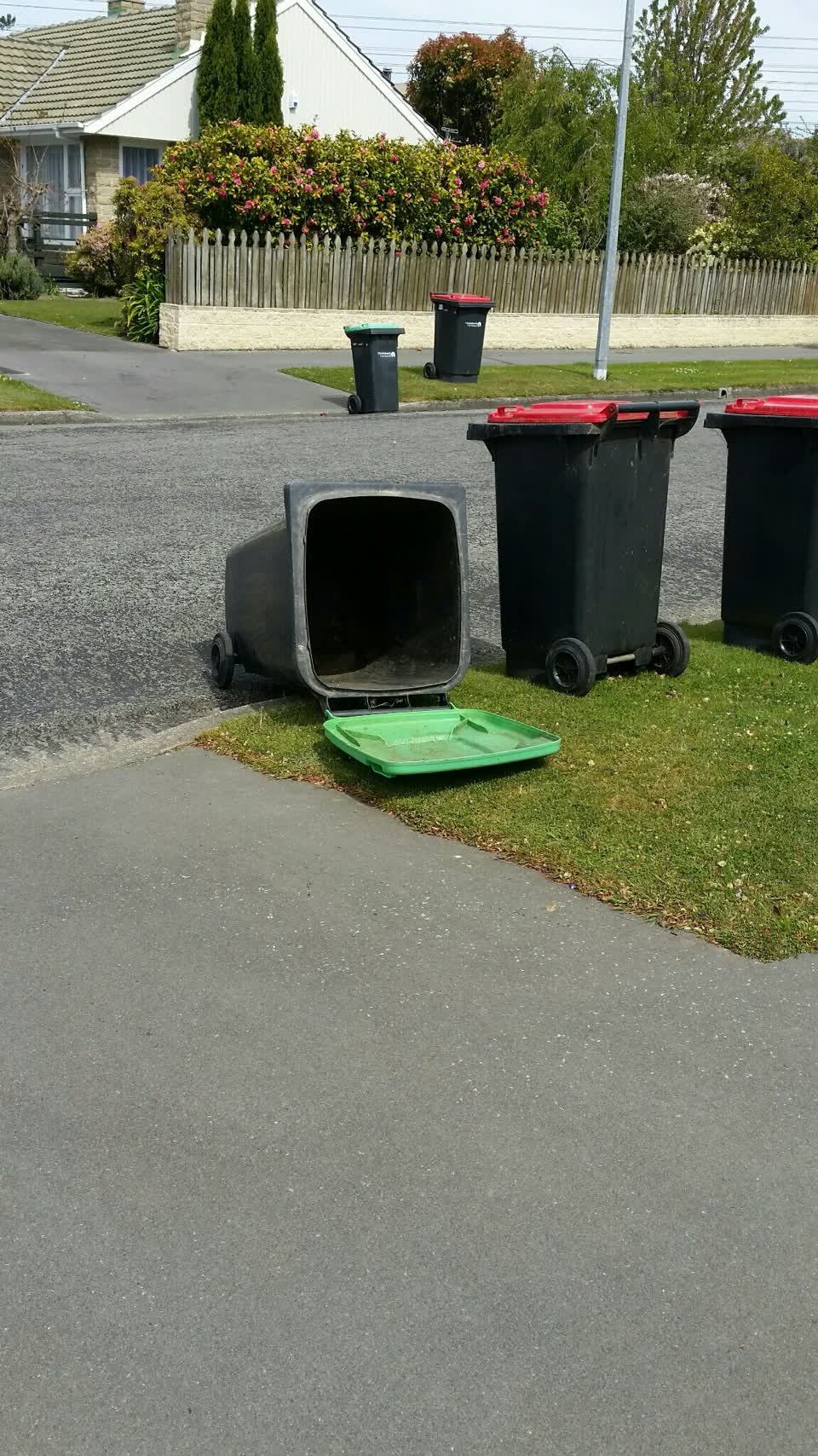 The photograph attached to this rubbish and bins - general report