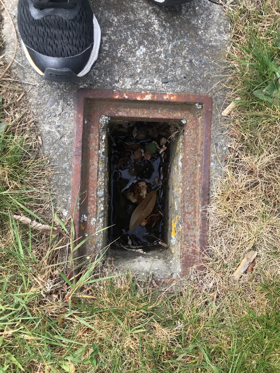 The photograph attached to this pavement - general report