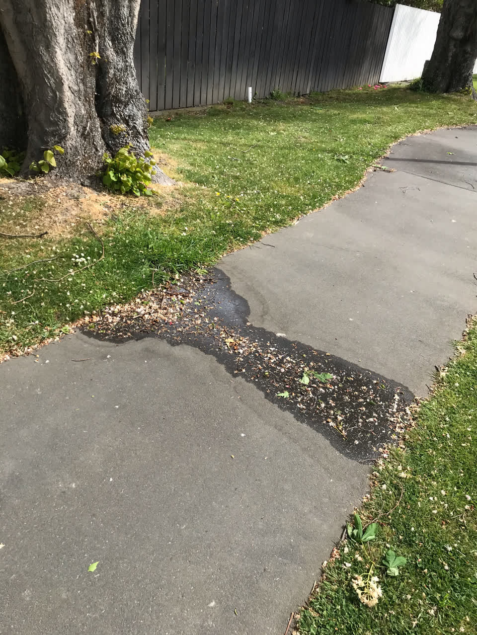 The photograph attached to this water leak report