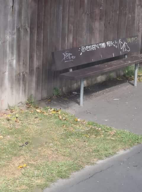 Graffiti, a report photo