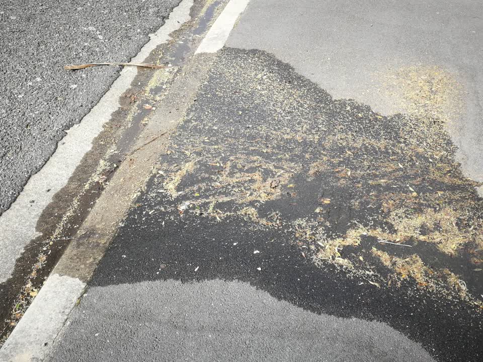 The photograph attached to this water leak report