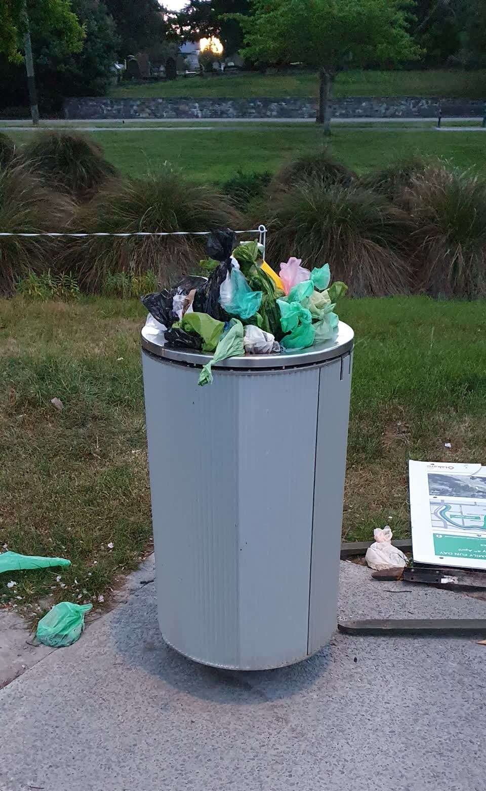 The photograph attached to this rubbish and bins - general report