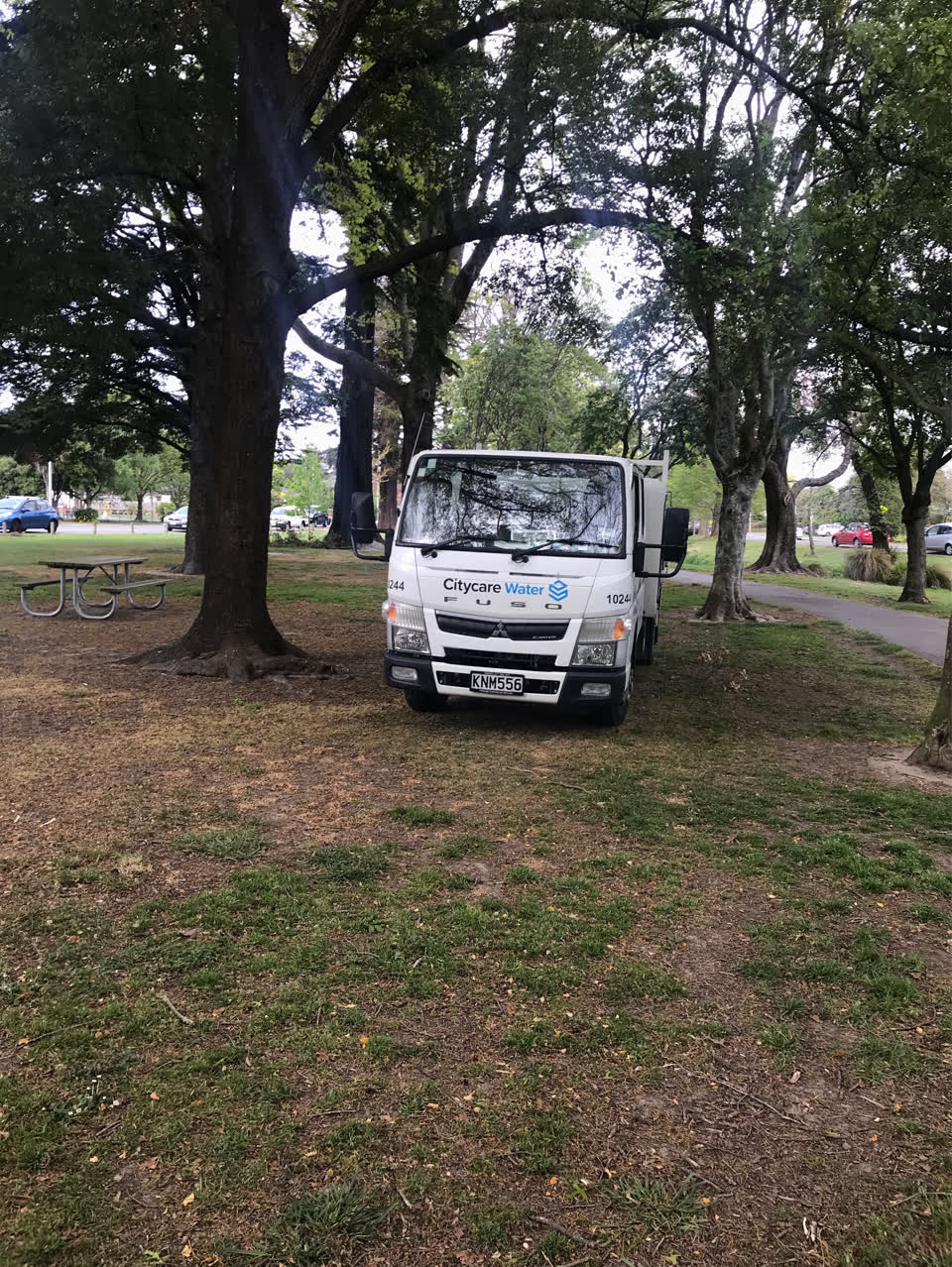 The photograph attached to this parks report