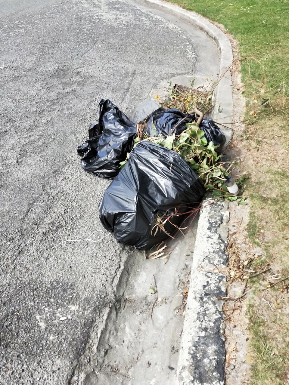 The photograph attached to this dumped rubbish report