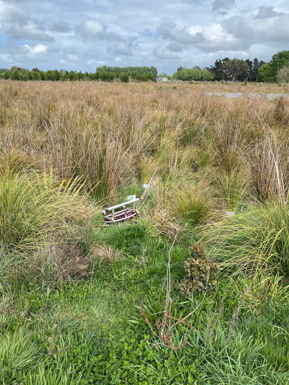 The photograph attached to this dumped rubbish report