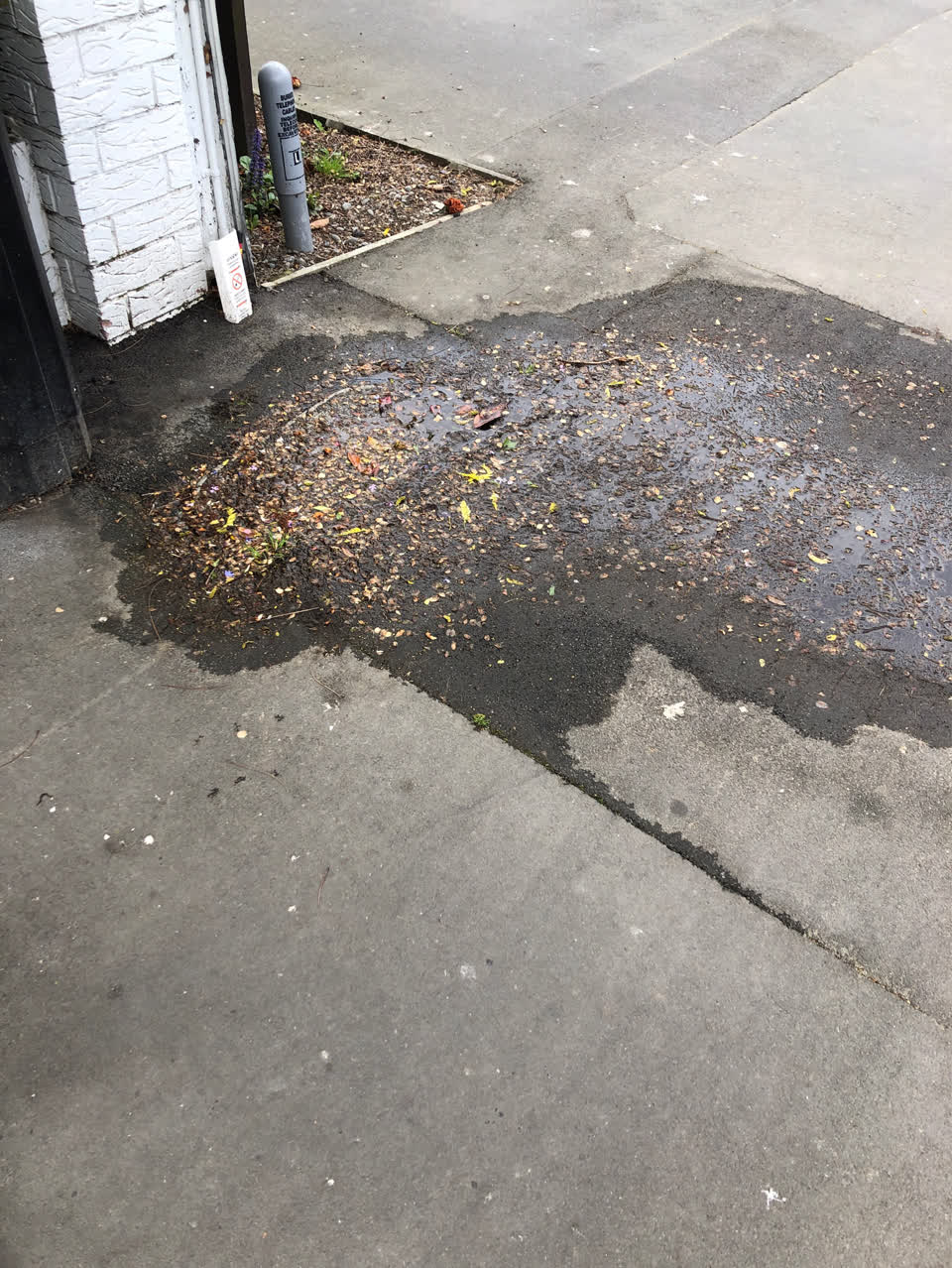 The photograph attached to this water supply report
