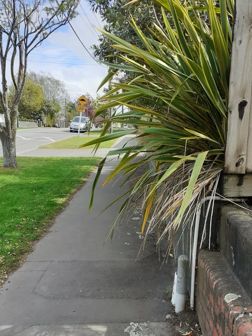 The photograph attached to this overgrown vegetation report