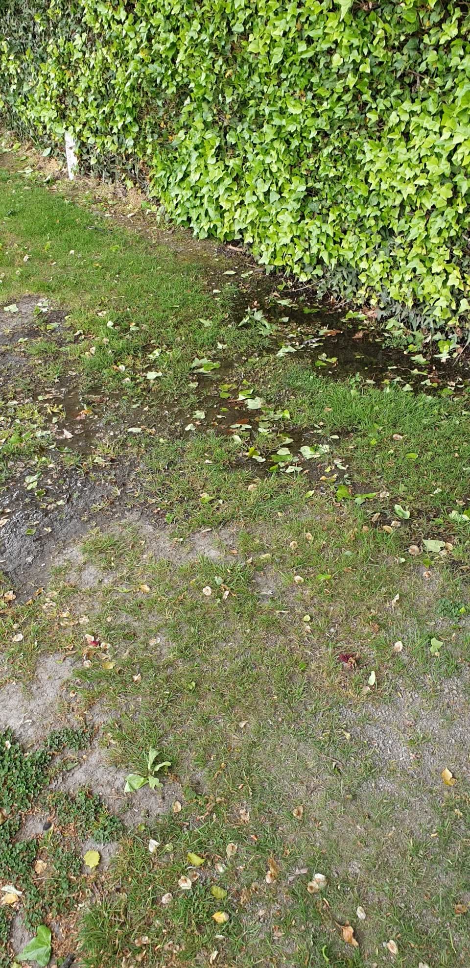 The photograph attached to this water leak report