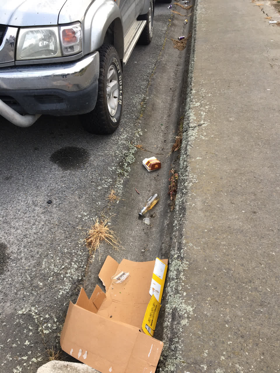 The photograph attached to this litter report