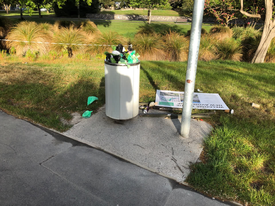 The photograph attached to this rubbish and bins - general report