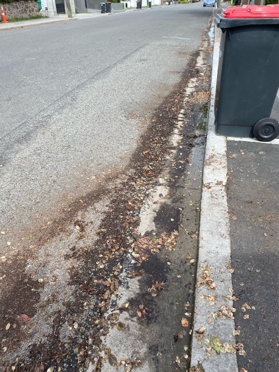 The photograph attached to this water general report