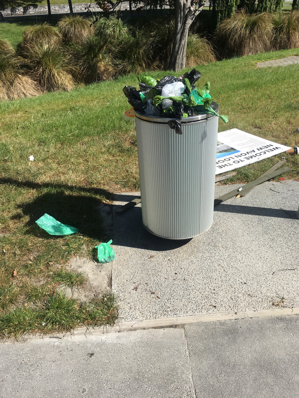 The photograph attached to this rubbish and bins - general report