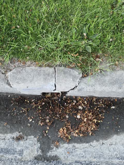 Pavement - Damaged, a report photo