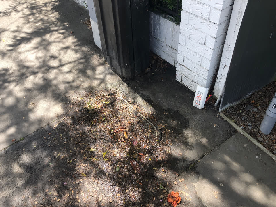 The photograph attached to this water leak report