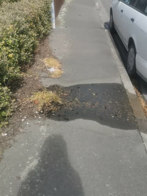 Water Leak, a report photo