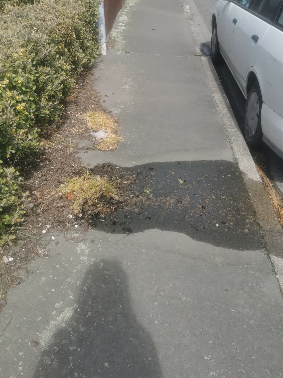 The photograph attached to this water leak report