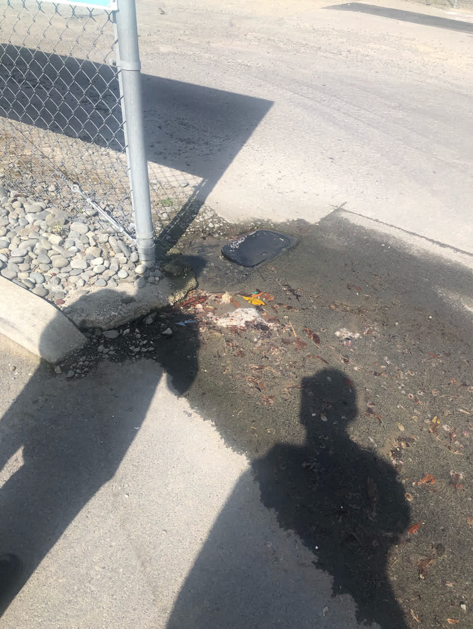 The photograph attached to this water leak report