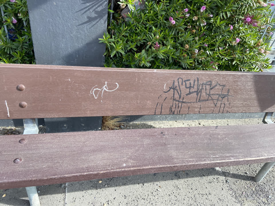 The photograph attached to this graffiti report