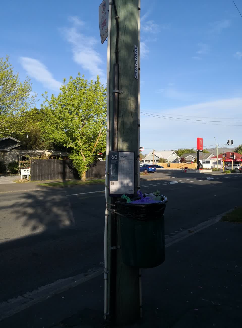 The photograph attached to this rubbish and bins - general report