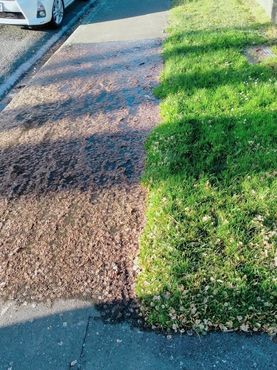 The photograph attached to this water leak report