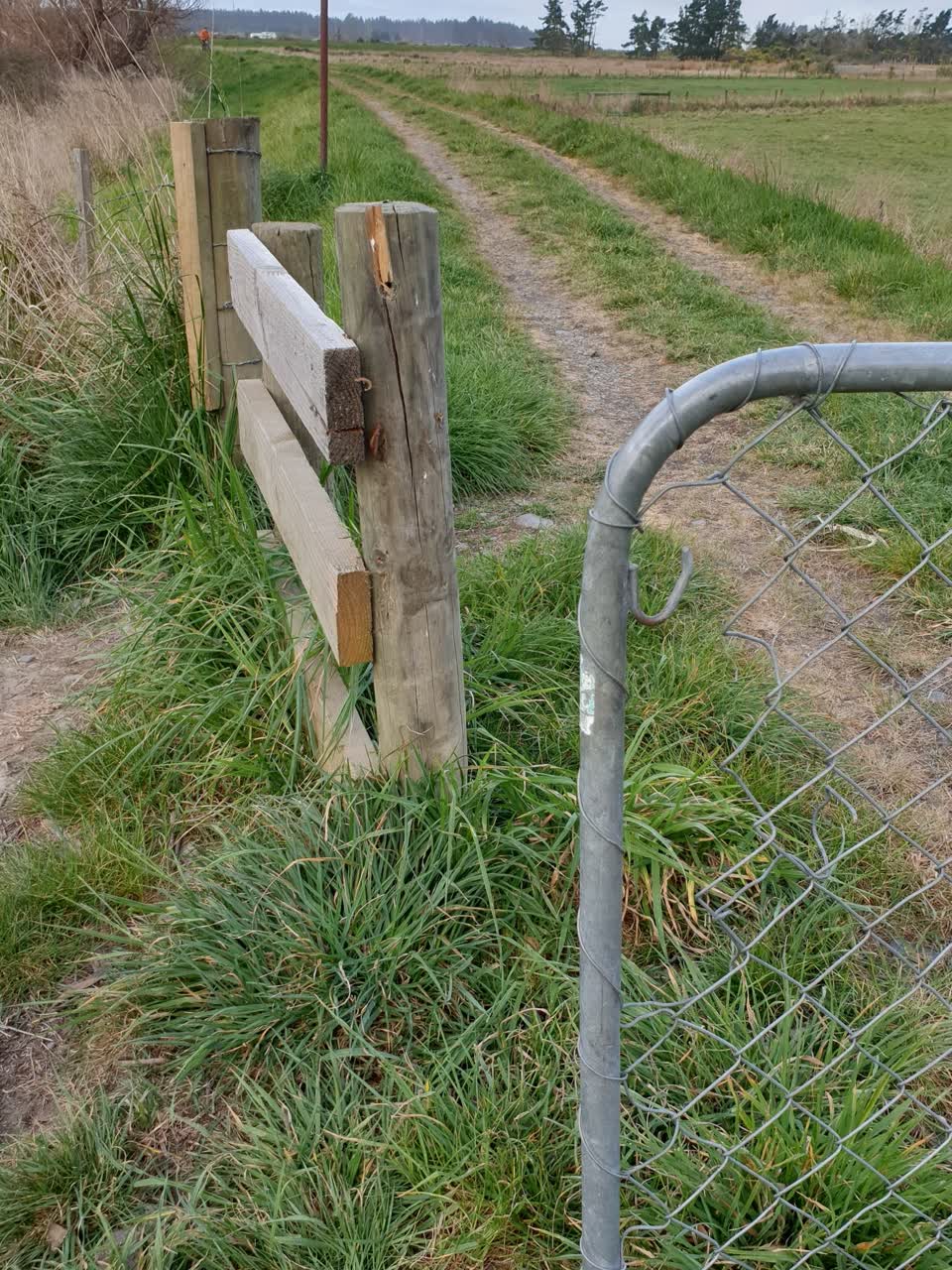 The photograph attached to this vandalism - general report