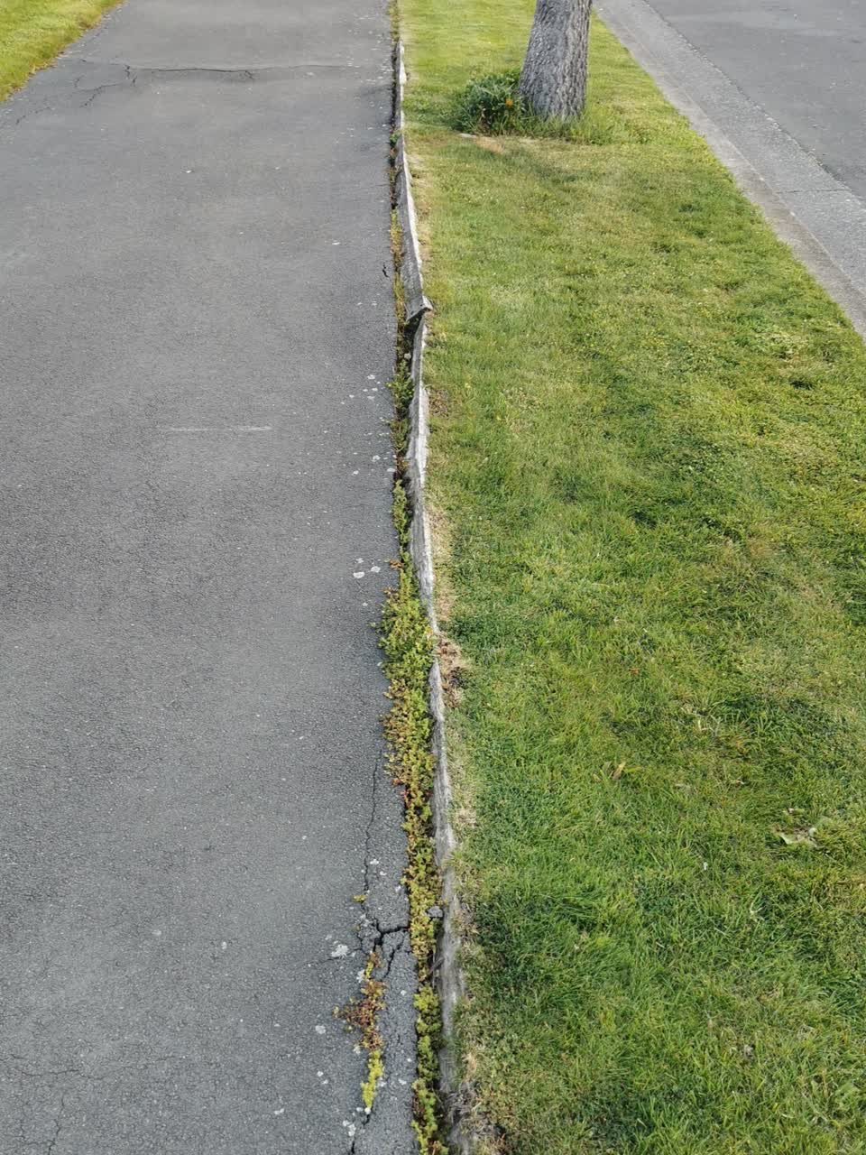 The photograph attached to this pavement - general report