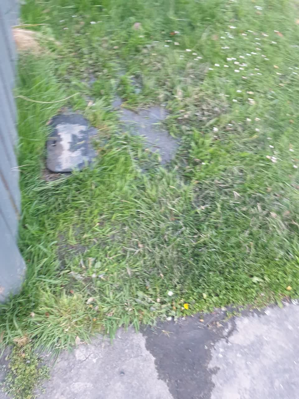 The photograph attached to this water leak report