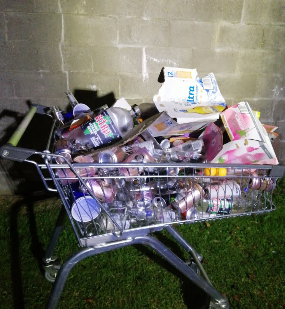 The photograph attached to this litter report