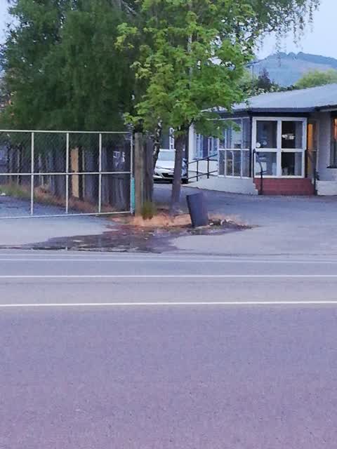 Water Leak, a report photo