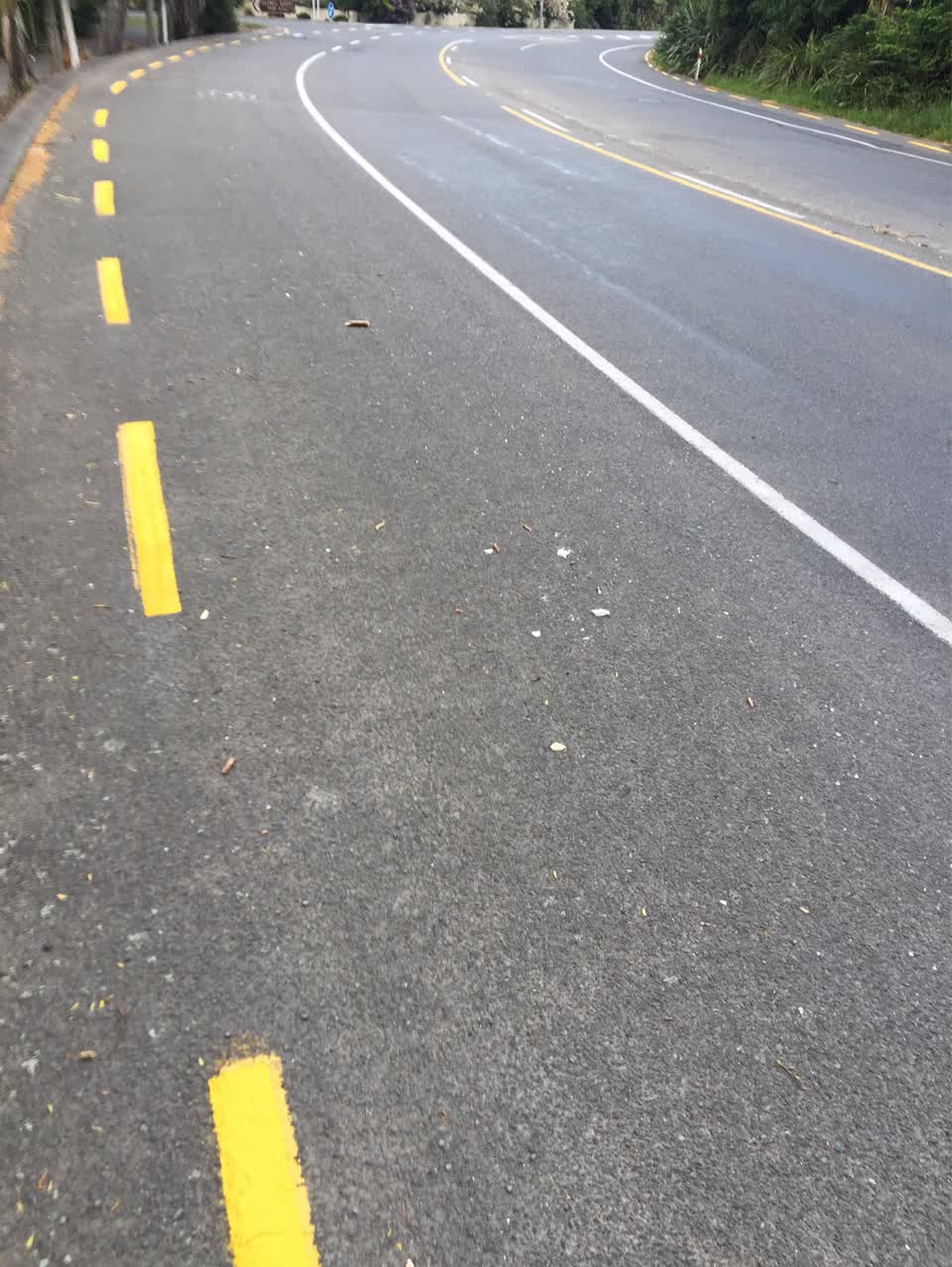 The photograph attached to this litter report