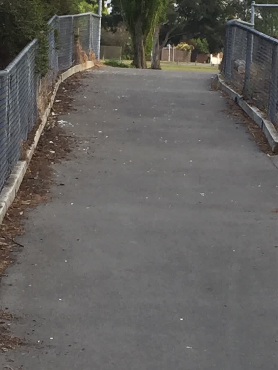 The photograph attached to this litter report