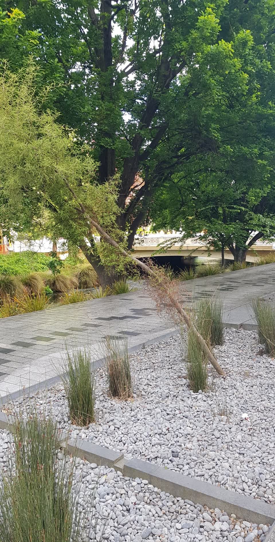 The photograph attached to this trees - general report