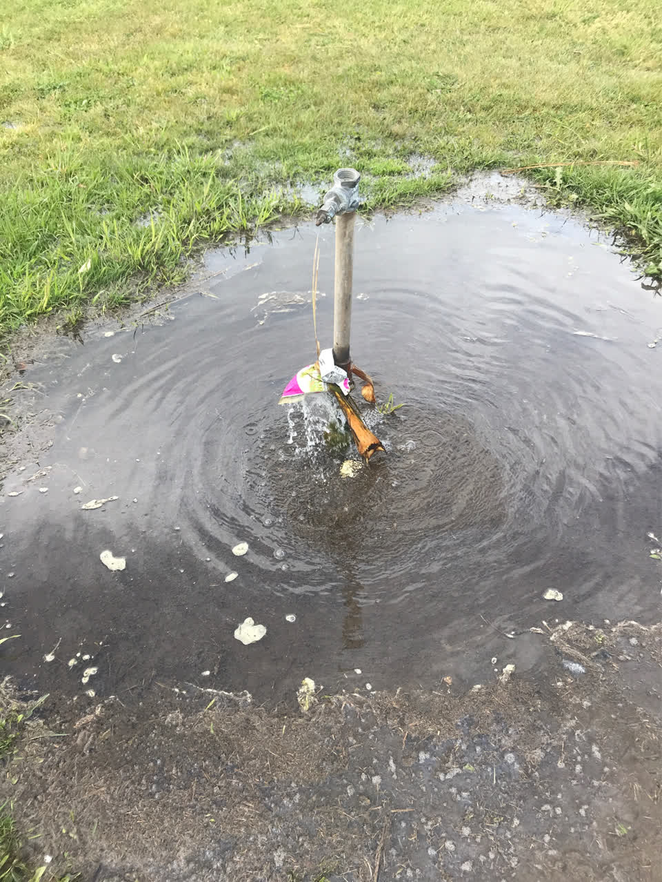The photograph attached to this water leak report